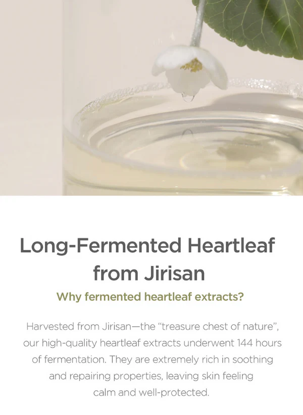 Our Vegan Heartleaf Cica Toner - Image 7
